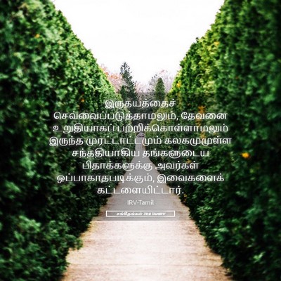 Picture 05 - சங்கீதங்கள் 78:8 TAMIRV - இருதயத்தைச் - Bible Verse Picture