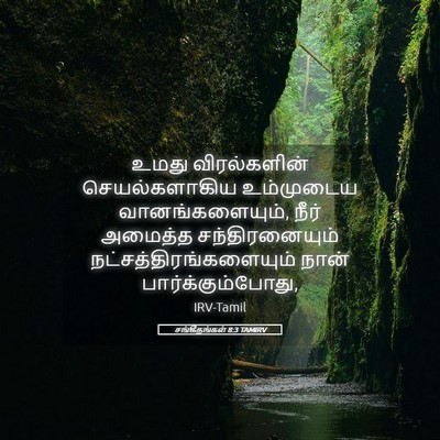 Picture 05 - சங்கீதங்கள் 8:3 TAMIRV - உமது விரல்களின் - Bible Verse Picture