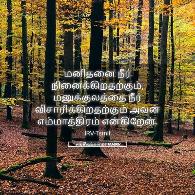 Picture 05 - சங்கீதங்கள் 8:4 TAMIRV - மனிதனை நீர் - Bible Verse Picture