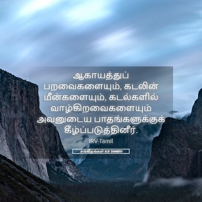 Picture 05 - சங்கீதங்கள் 8:8 TAMIRV - ஆகாயத்துப் - Bible Verse Picture