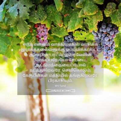 Picture 05 - சங்கீதங்கள் 80:1 TAMIRV - எடூத் என்னும் - Bible Verse Picture