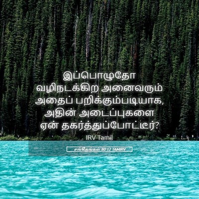 Picture 05 - சங்கீதங்கள் 80:12 TAMIRV - இப்பொழுதோ - Bible Verse Picture