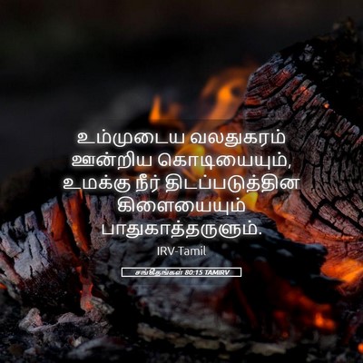 Picture 05 - சங்கீதங்கள் 80:15 TAMIRV - உம்முடைய வலதுகரம் - Bible Verse Picture