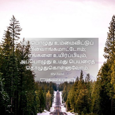 Picture 05 - சங்கீதங்கள் 80:18 TAMIRV - அப்பொழுது - Bible Verse Picture