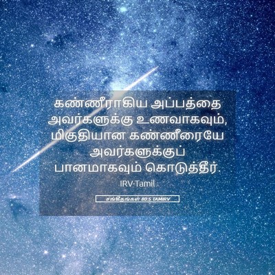 Picture 05 - சங்கீதங்கள் 80:5 TAMIRV - கண்ணீராகிய - Bible Verse Picture