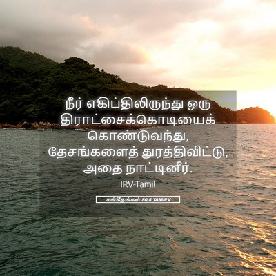Picture 05 - சங்கீதங்கள் 80:8 TAMIRV - நீர் - Bible Verse Picture