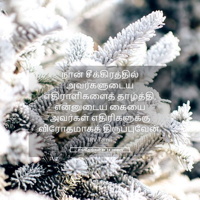 Picture 05 - சங்கீதங்கள் 81:14 TAMIRV - நான் - Bible Verse Picture