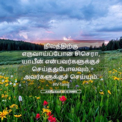 Picture 05 - சங்கீதங்கள் 83:10 TAMIRV - நிலத்திற்கு - Bible Verse Picture