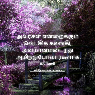 Picture 05 - சங்கீதங்கள் 83:18 TAMIRV - அவர்கள் - Bible Verse Picture