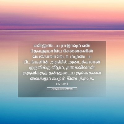 Picture 05 - சங்கீதங்கள் 84:3 TAMIRV - என்னுடைய ராஜாவும் - Bible Verse Picture