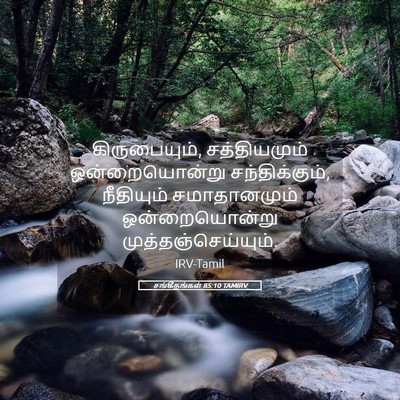 Picture 05 - சங்கீதங்கள் 85:10 TAMIRV - கிருபையும், - Bible Verse Picture