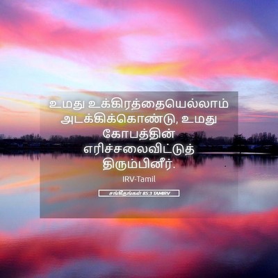 Picture 05 - சங்கீதங்கள் 85:3 TAMIRV - உமது - Bible Verse Picture
