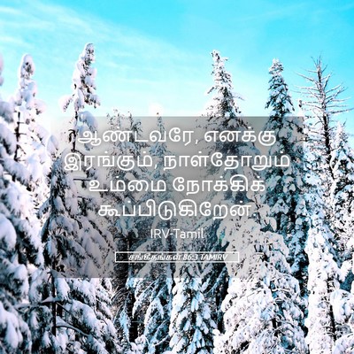 Picture 05 - சங்கீதங்கள் 86:3 TAMIRV - ஆண்டவரே, எனக்கு - Bible Verse Picture