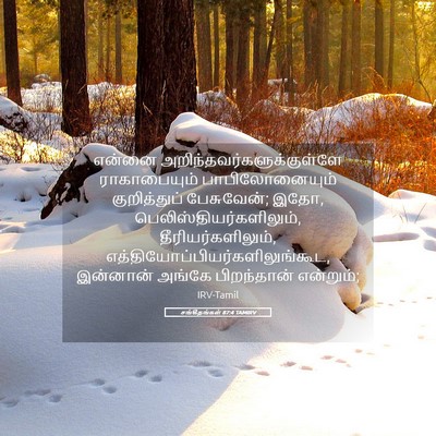 Picture 05 - சங்கீதங்கள் 87:4 TAMIRV - என்னை - Bible Verse Picture