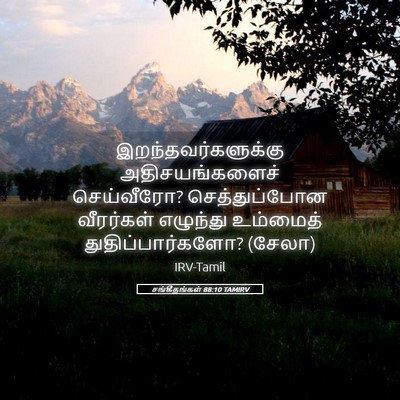 Picture 05 - சங்கீதங்கள் 88:10 TAMIRV - இறந்தவர்களுக்கு - Bible Verse Picture