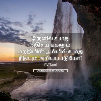 Picture 05 - சங்கீதங்கள் 88:12 TAMIRV - இருளில் உமது - Bible Verse Picture