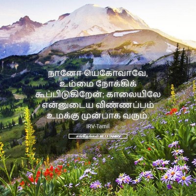 Picture 05 - சங்கீதங்கள் 88:13 TAMIRV - நானோ யெகோவாவே, - Bible Verse Picture
