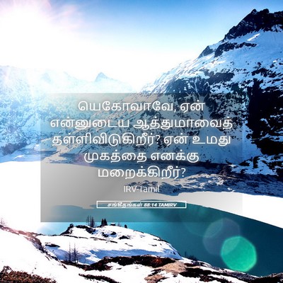 Picture 05 - சங்கீதங்கள் 88:14 TAMIRV - யெகோவாவே, ஏன் - Bible Verse Picture