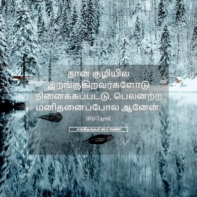 Picture 05 - சங்கீதங்கள் 88:4 TAMIRV - நான் குழியில் - Bible Verse Picture