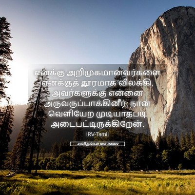 Picture 05 - சங்கீதங்கள் 88:8 TAMIRV - எனக்கு - Bible Verse Picture