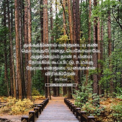 Picture 05 - சங்கீதங்கள் 88:9 TAMIRV - துக்கத்தினால் - Bible Verse Picture