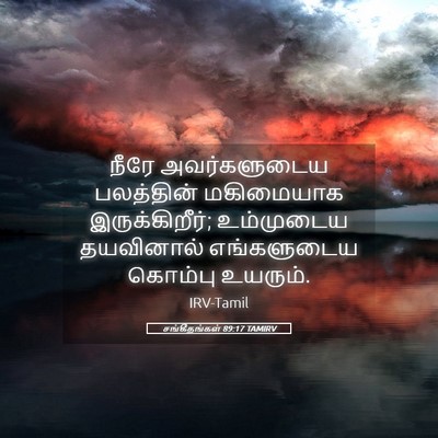 Picture 05 - சங்கீதங்கள் 89:17 TAMIRV - நீரே அவர்களுடைய - Bible Verse Picture