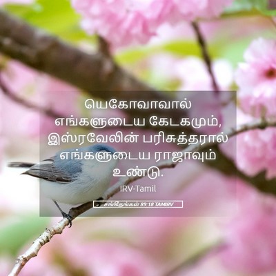 Picture 05 - சங்கீதங்கள் 89:18 TAMIRV - யெகோவாவால் - Bible Verse Picture