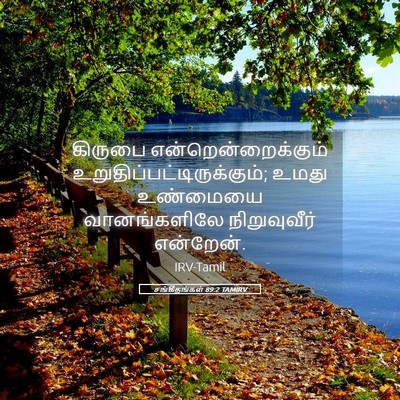 Picture 05 - சங்கீதங்கள் 89:2 TAMIRV - கிருபை - Bible Verse Picture