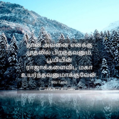 Picture 05 - சங்கீதங்கள் 89:27 TAMIRV - நான் அவனை எனக்கு - Bible Verse Picture
