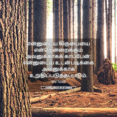Picture 05 - சங்கீதங்கள் 89:28 TAMIRV - என்னுடைய கிருபையை - Bible Verse Picture