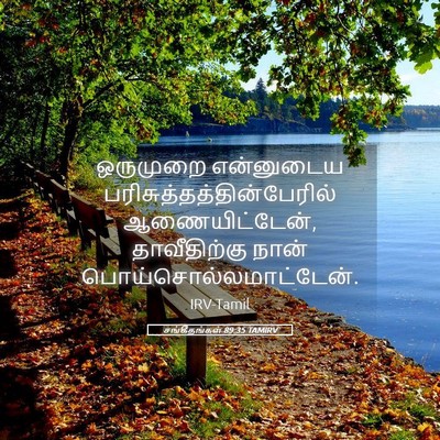 Picture 05 - சங்கீதங்கள் 89:35 TAMIRV - ஒருமுறை என்னுடைய - Bible Verse Picture
