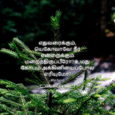 Picture 05 - சங்கீதங்கள் 89:46 TAMIRV - எதுவரைக்கும், - Bible Verse Picture