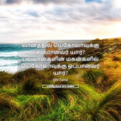 Picture 05 - சங்கீதங்கள் 89:6 TAMIRV - வானத்தில் - Bible Verse Picture