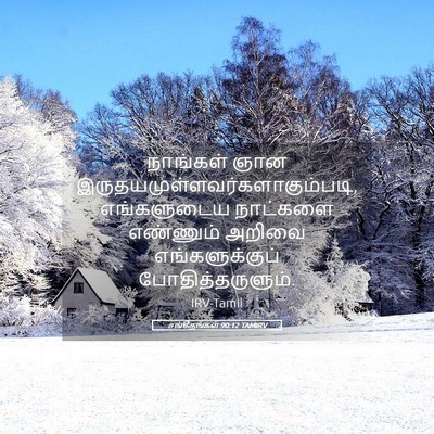 Picture 05 - சங்கீதங்கள் 90:12 TAMIRV - நாங்கள் ஞான - Bible Verse Picture