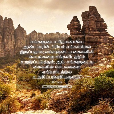 Picture 05 - சங்கீதங்கள் 90:17 TAMIRV - எங்களுடைய - Bible Verse Picture