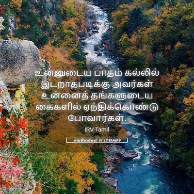 Picture 05 - சங்கீதங்கள் 91:12 TAMIRV - உன்னுடைய பாதம் - Bible Verse Picture