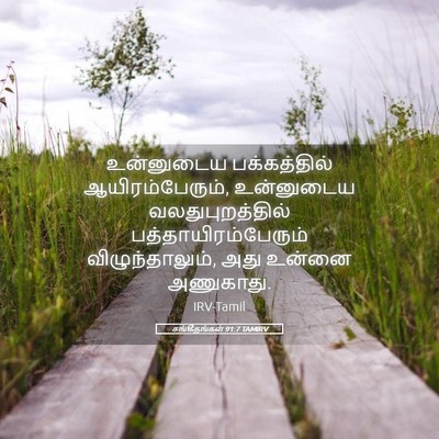 Picture 05 - சங்கீதங்கள் 91:7 TAMIRV - உன்னுடைய - Bible Verse Picture