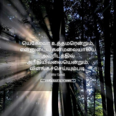 Picture 05 - சங்கீதங்கள் 92:14 TAMIRV - யெகோவா - Bible Verse Picture