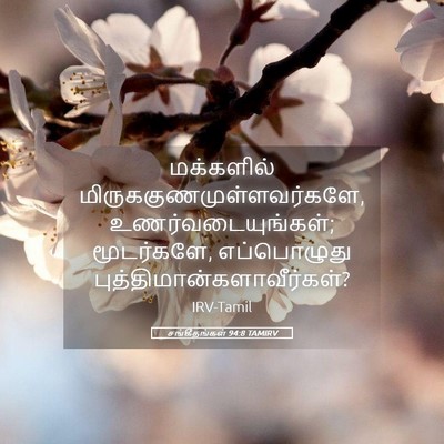 Picture 05 - சங்கீதங்கள் 94:8 TAMIRV - மக்களில் - Bible Verse Picture