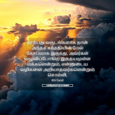 Picture 05 - சங்கீதங்கள் 95:10 TAMIRV - நாற்பது - Bible Verse Picture
