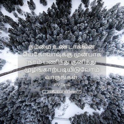 Picture 05 - சங்கீதங்கள் 95:6 TAMIRV - நம்மை உண்டாக்கின - Bible Verse Picture