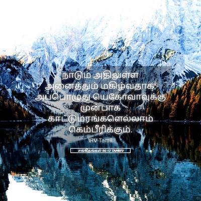 Picture 05 - சங்கீதங்கள் 96:12 TAMIRV - நாடும் அதிலுள்ள - Bible Verse Picture