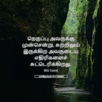 Picture 05 - சங்கீதங்கள் 97:3 TAMIRV - நெருப்பு அவருக்கு - Bible Verse Picture