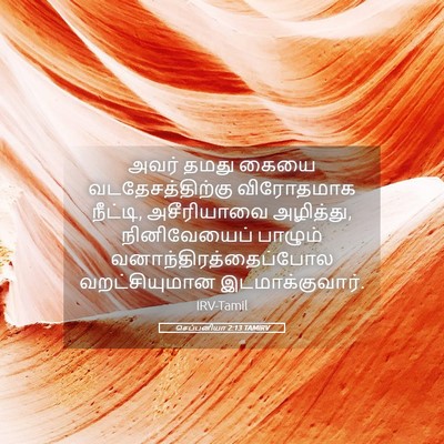 Picture 05 - செப்பனியா 2:13 TAMIRV - அவர் தமது கையை - Bible Verse Picture
