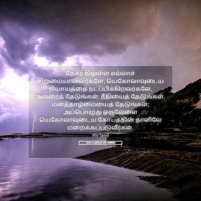 Picture 05 - செப்பனியா 2:3 TAMIRV - தேசத்திலுள்ள - Bible Verse Picture