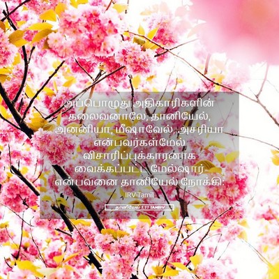 Picture 05 - தானியேல் 1:11 TAMIRV - அப்பொழுது - Bible Verse Picture