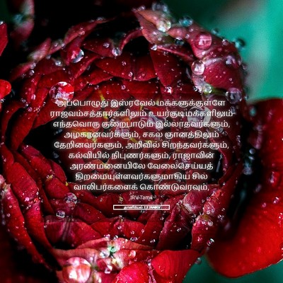 Picture 05 - தானியேல் 1:3 TAMIRV - அப்பொழுது - Bible Verse Picture