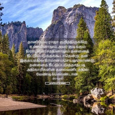 Picture 05 - தானியேல் 1:8 TAMIRV - தானியேல் ராஜா - Bible Verse Picture