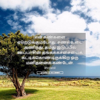 Picture 05 - தானியேல் 10:5 TAMIRV - என் கண்களை - Bible Verse Picture