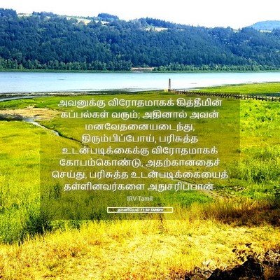 Picture 05 - தானியேல் 11:30 TAMIRV - அவனுக்கு - Bible Verse Picture